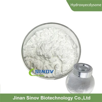 Beta Hydroxyecdysone Powder